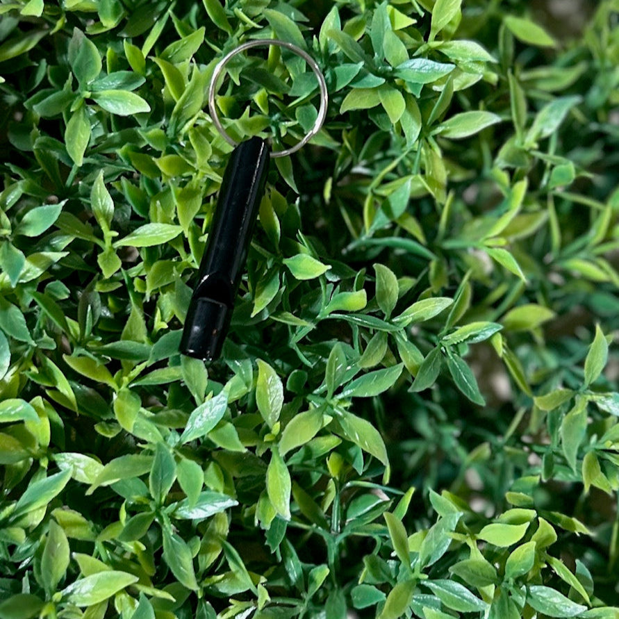 black safety whistle on greenery background