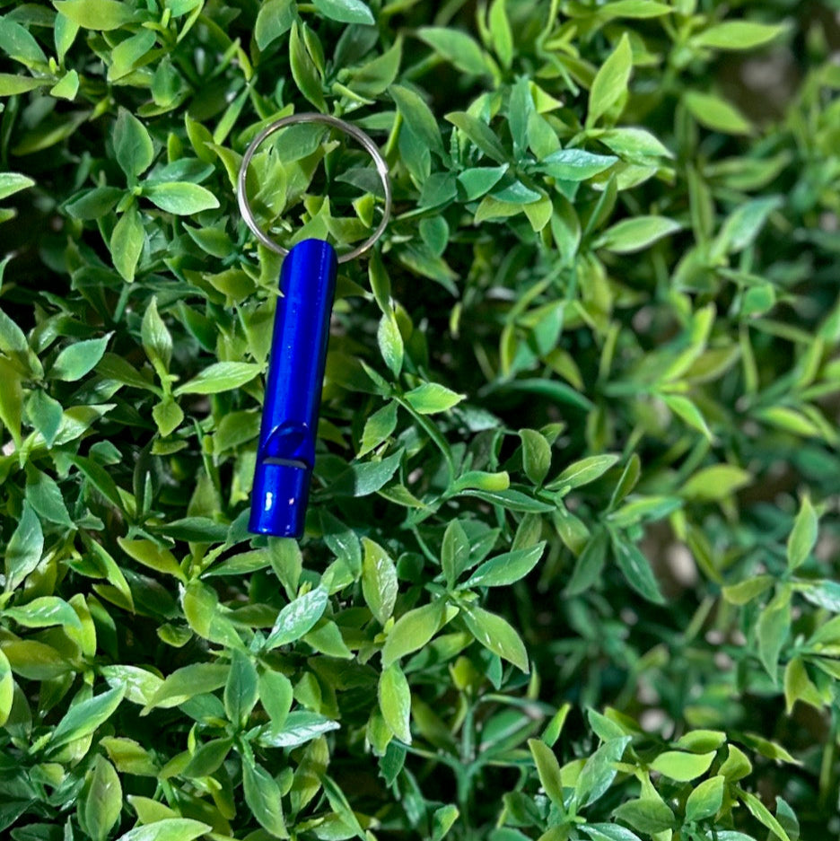 dark blue safety whistle on greenery background
