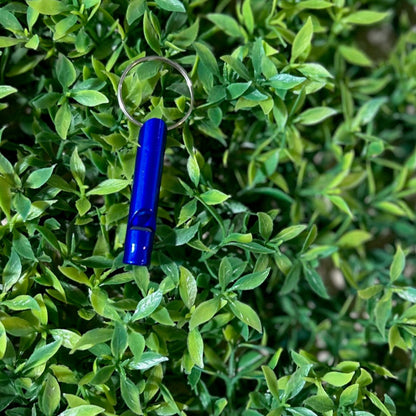 dark blue safety whistle on greenery background