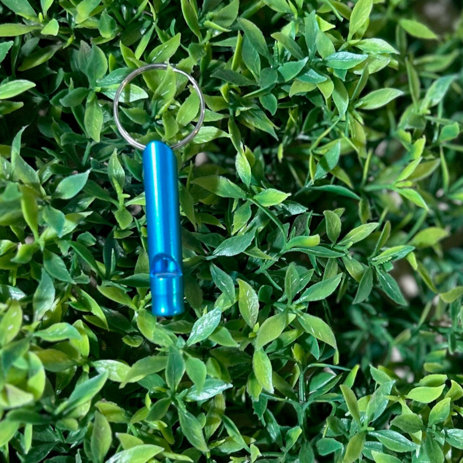 light blue safety whistle on greenery background