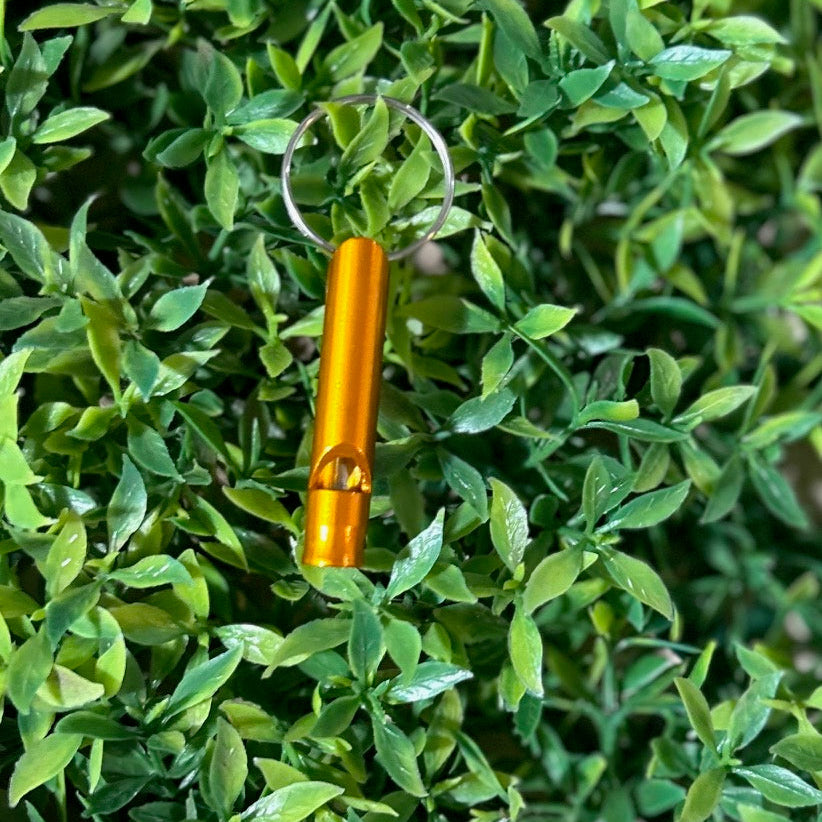 orange safety whistle on greenery background