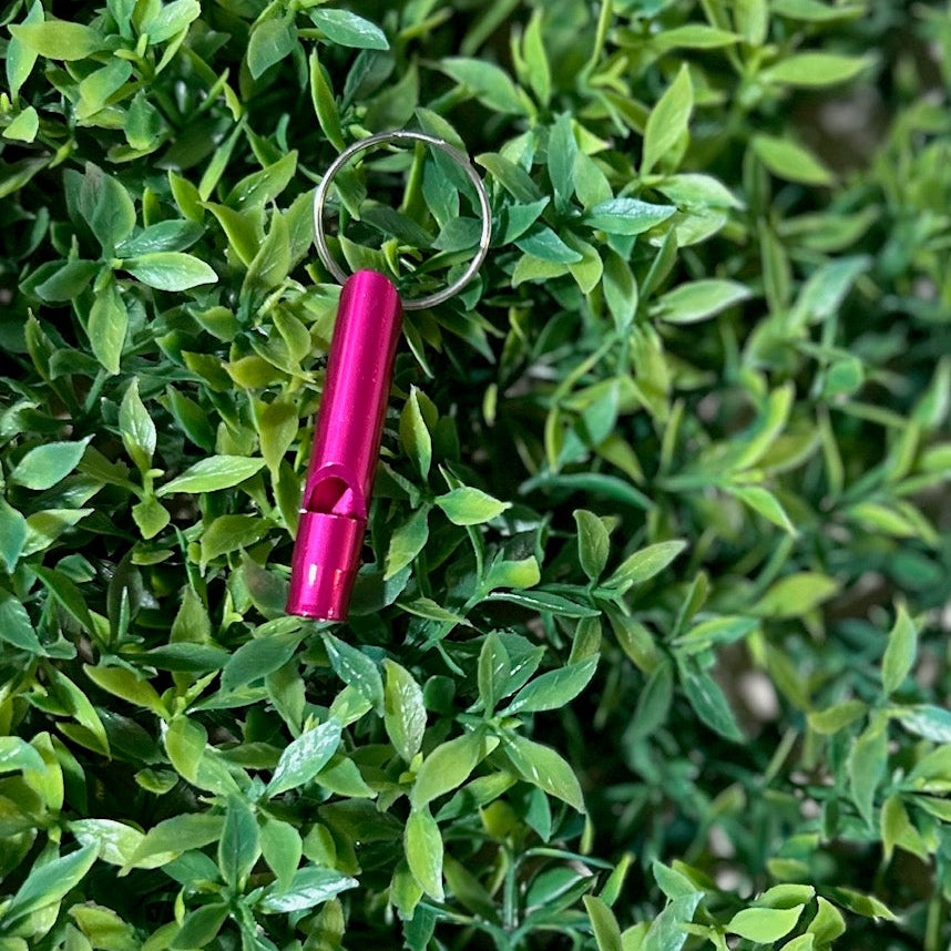 pink safety whistle on greenery background