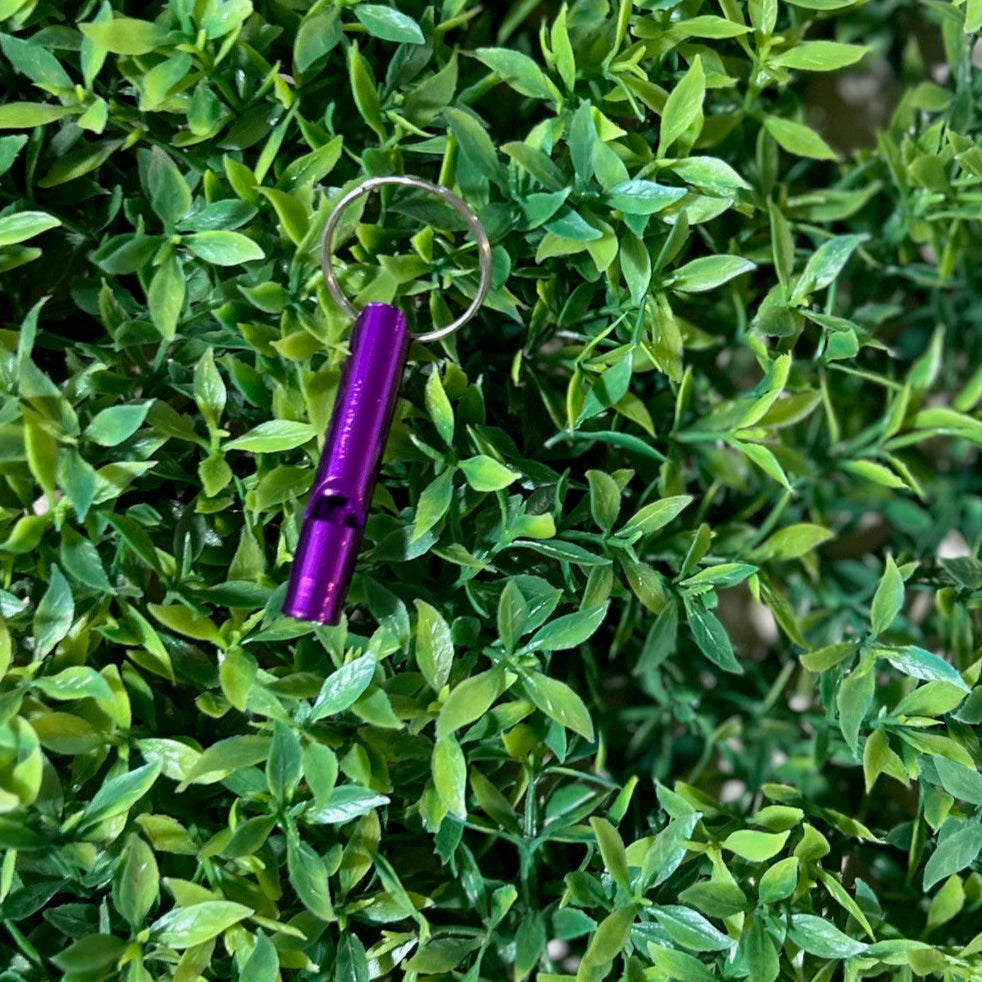 purple safety whistle on greenery background