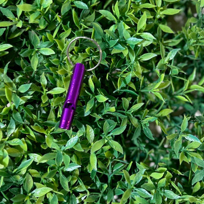 purple safety whistle on greenery background