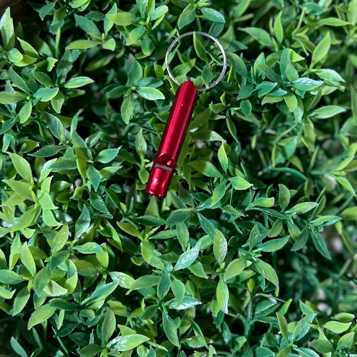 red safety whistle on greenery background