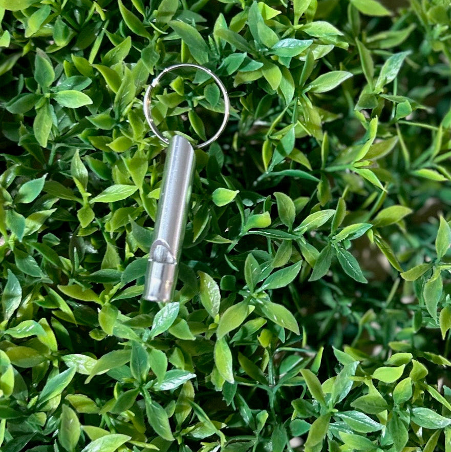 silver safety whistle on greenery background
