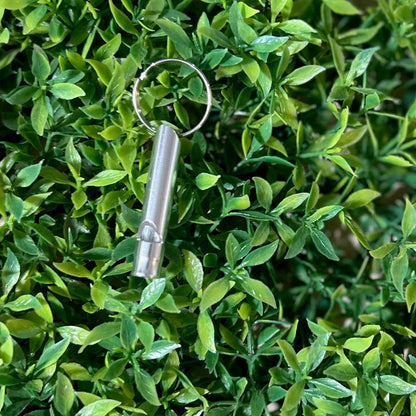 silver safety whistle on greenery background